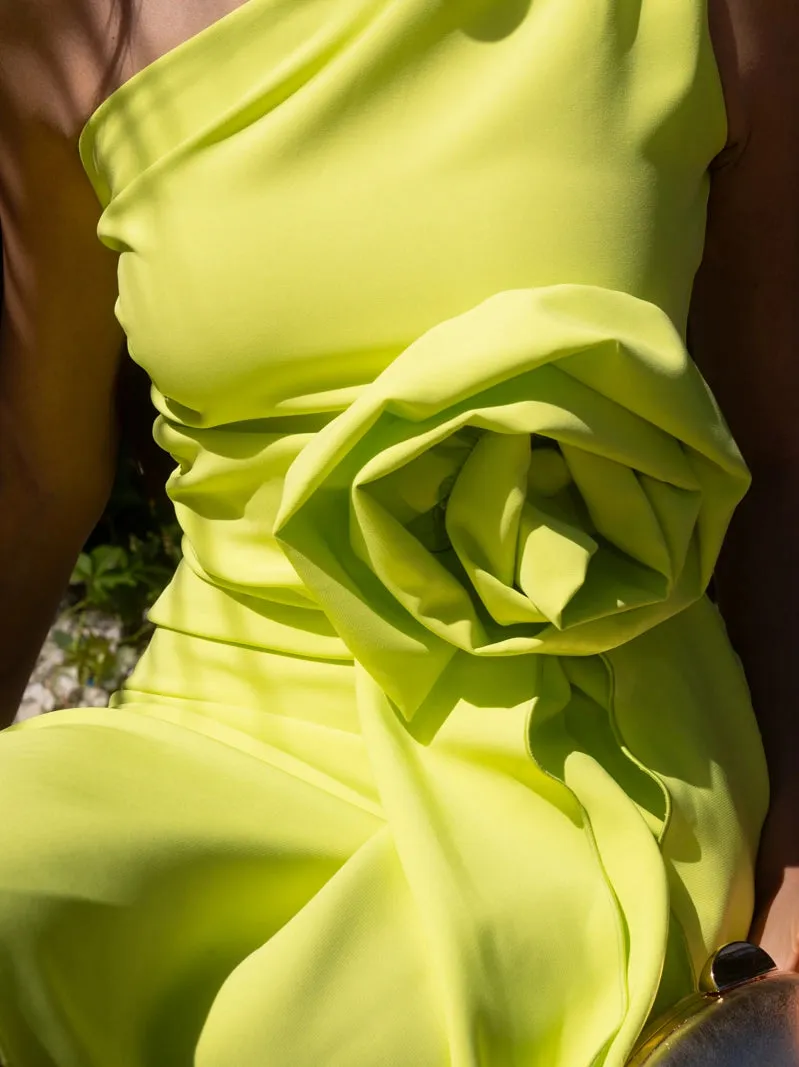 Alice Midi Dress