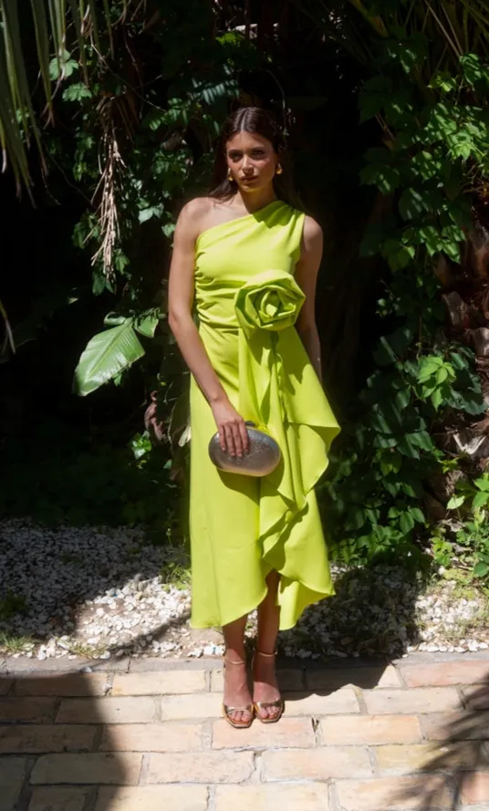 Alice Midi Dress
